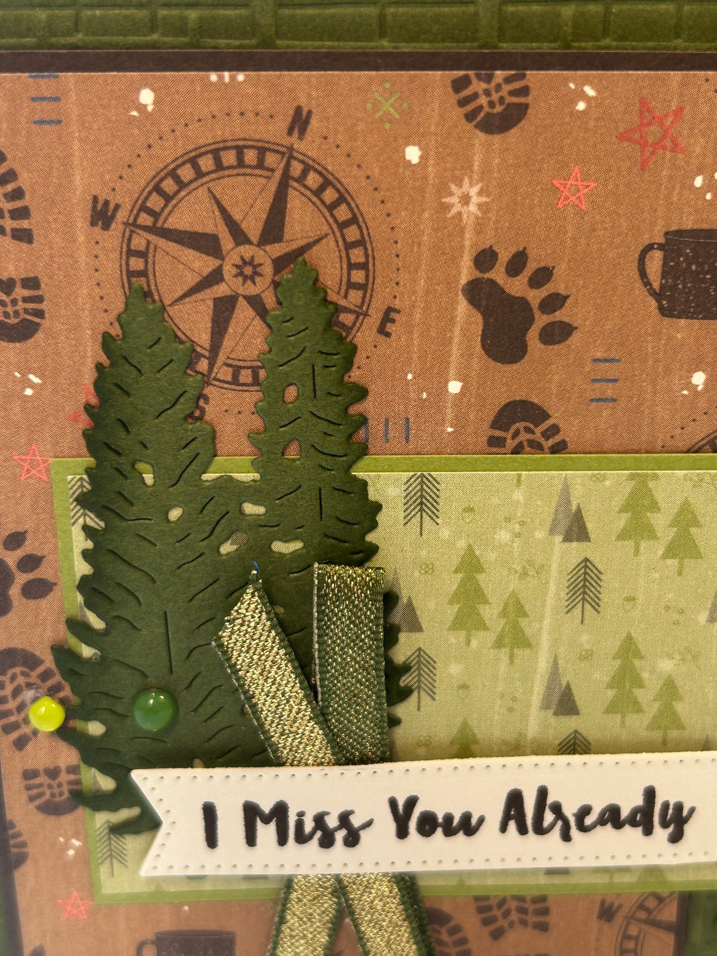 🌲 New Class to Go – Scenic Adventure Awaits!